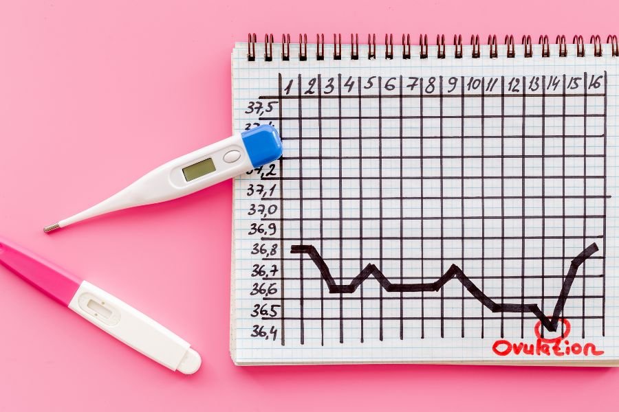 basal body temperature test and ovulation testing perimenopause