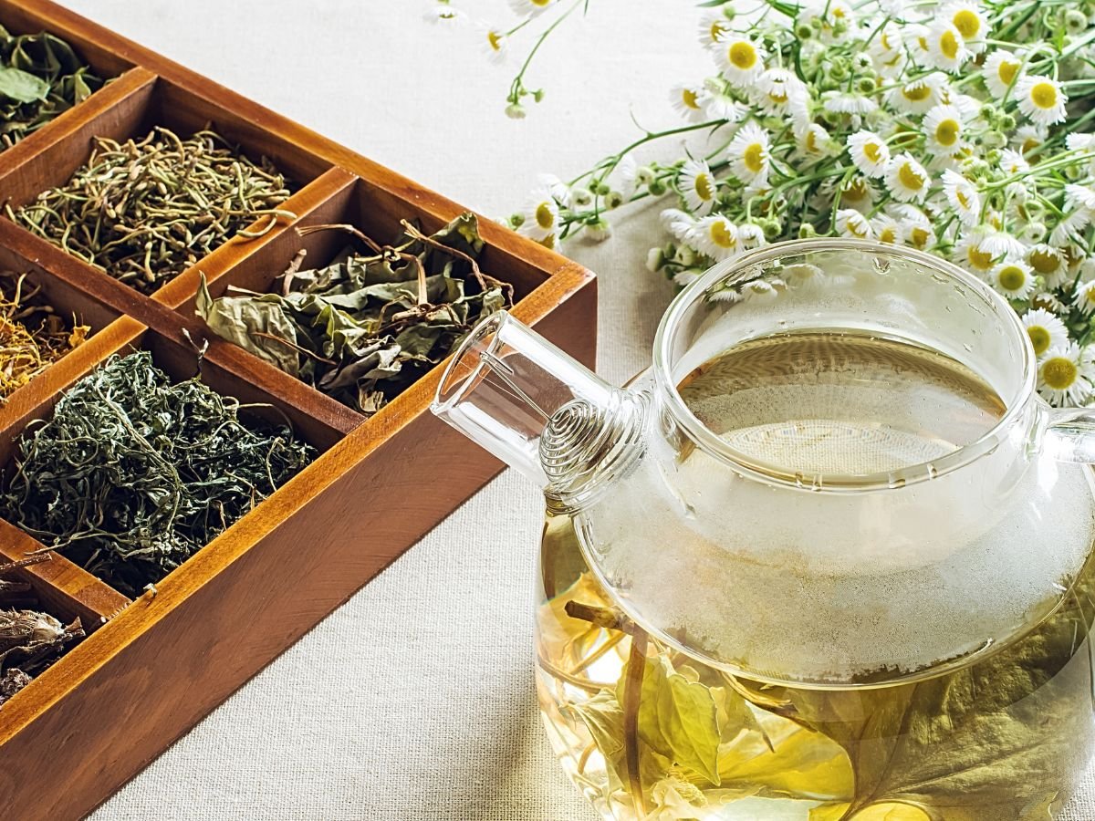 herbal tea and herbs for menopause